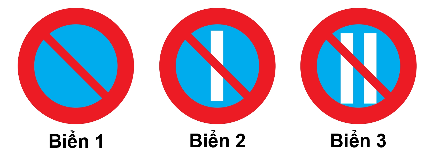 Hình ảnh câu hỏi